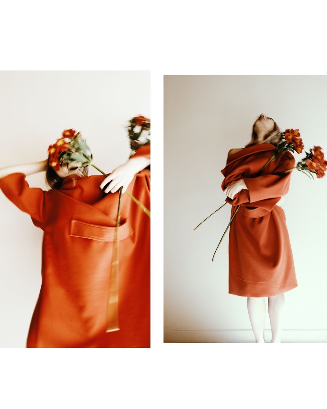 Red - Red, artistic photography