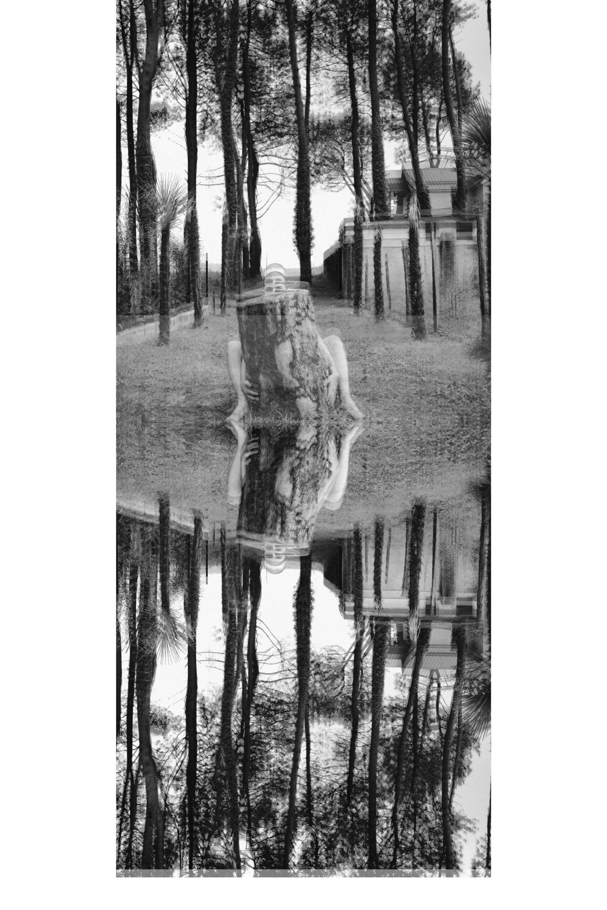 Reppppetttition., conceptual fine art photograph